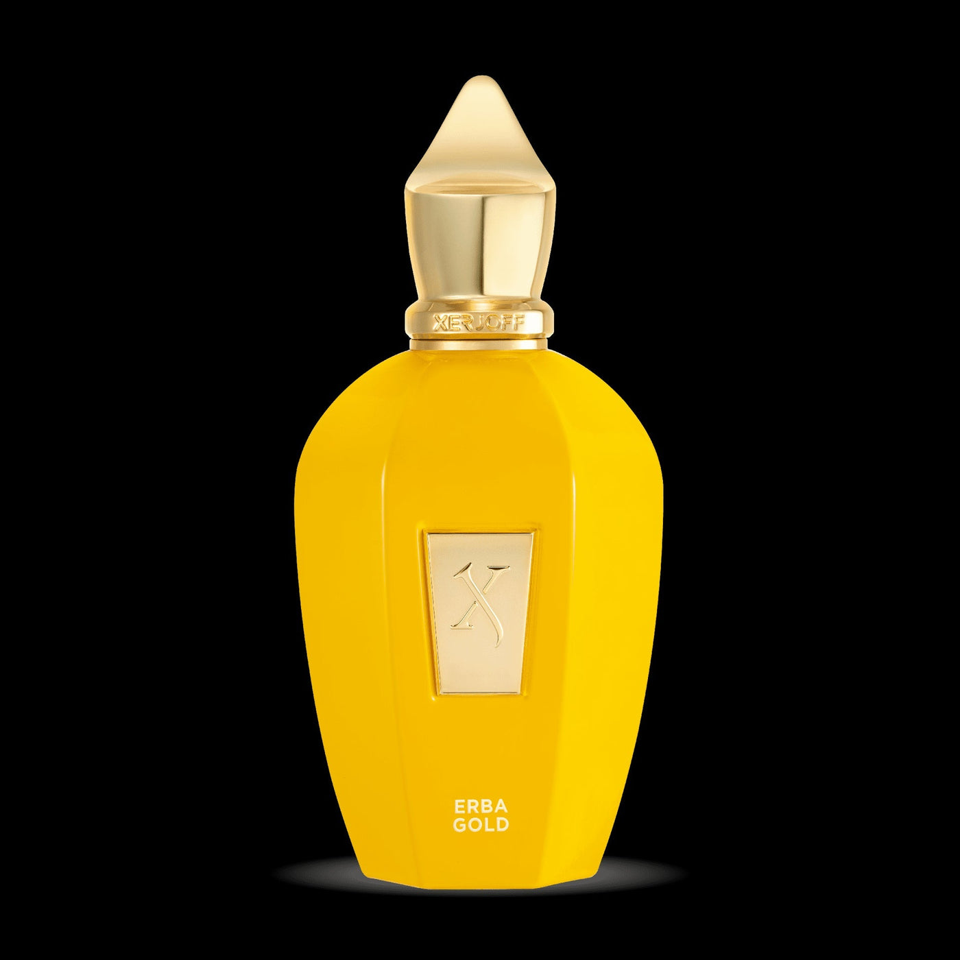 Xerjoff erba gold Eau de Parfum 100ml